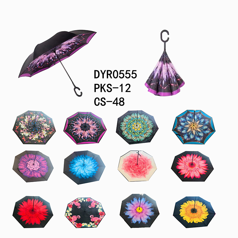 DYR0555