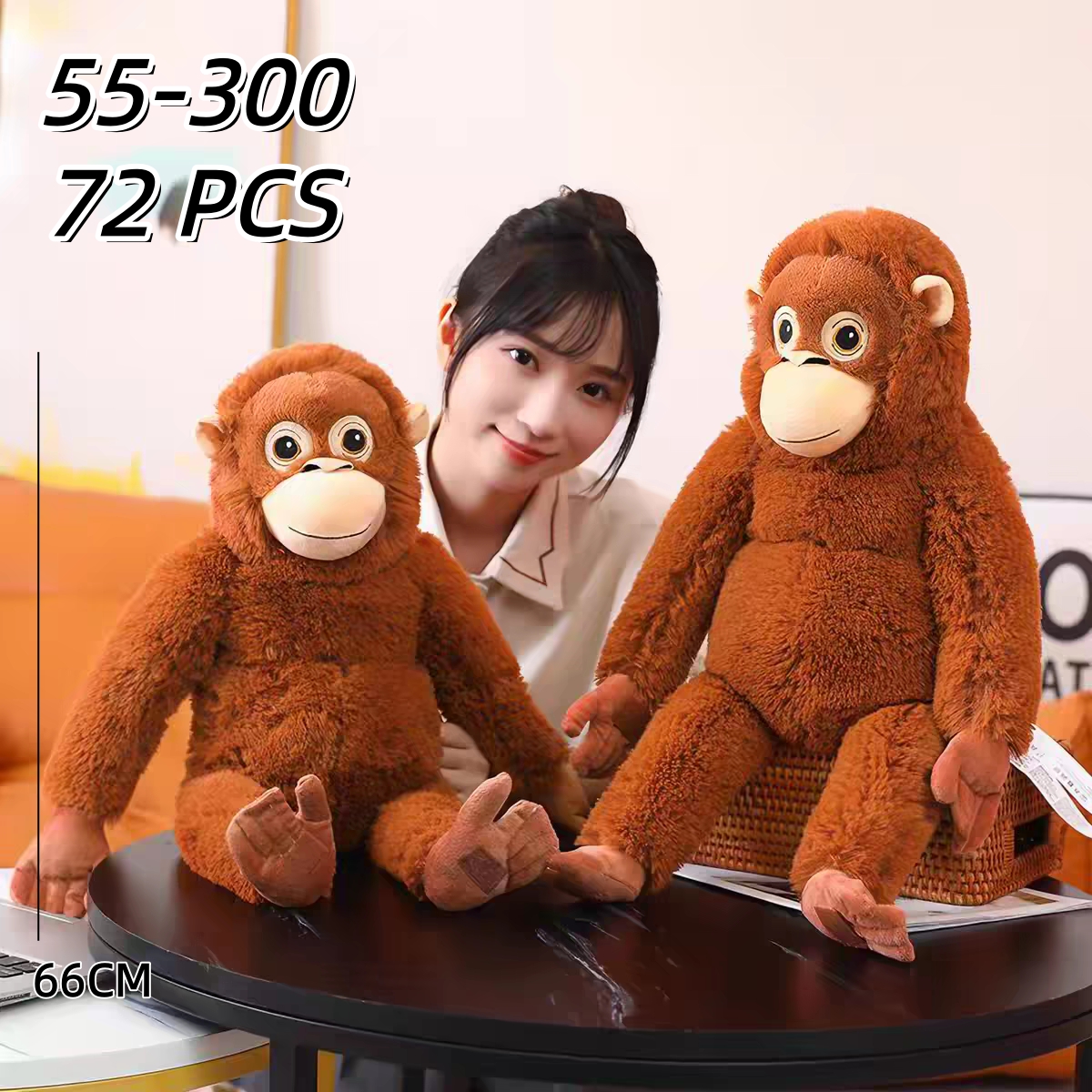 55-300 CS72