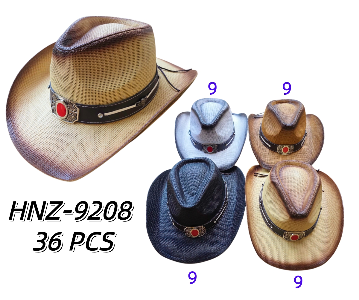 HNZ-9208 CS36