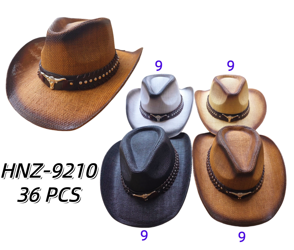 HNZ-9210 CS36