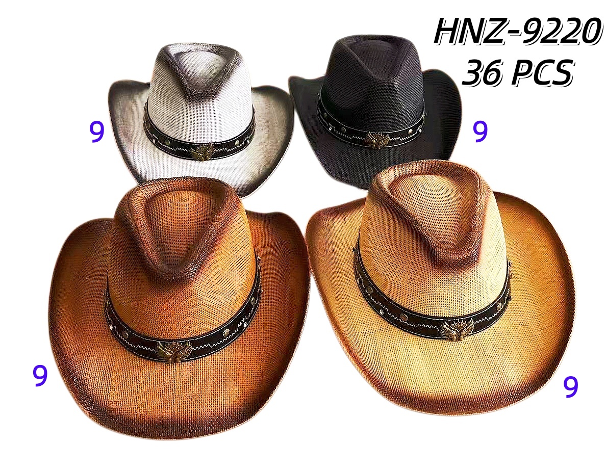 HNZ-9220 CS36
