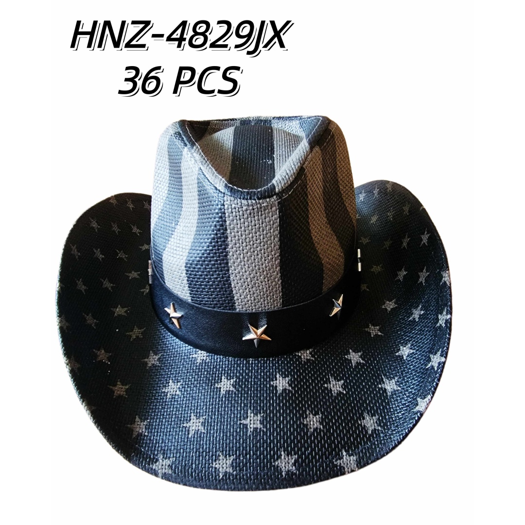 HNZ-4829JX CS36