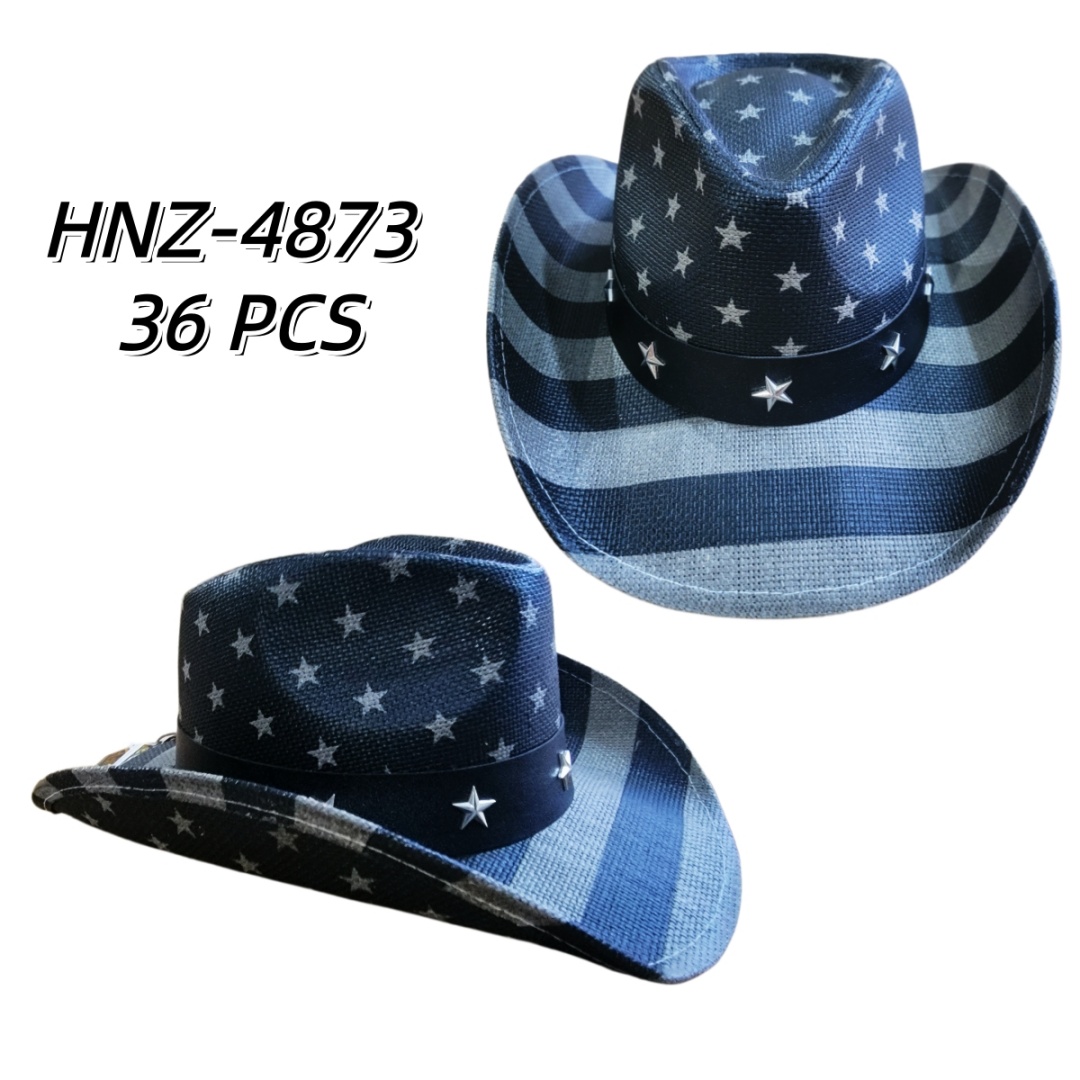 HNZ-4873 CS36