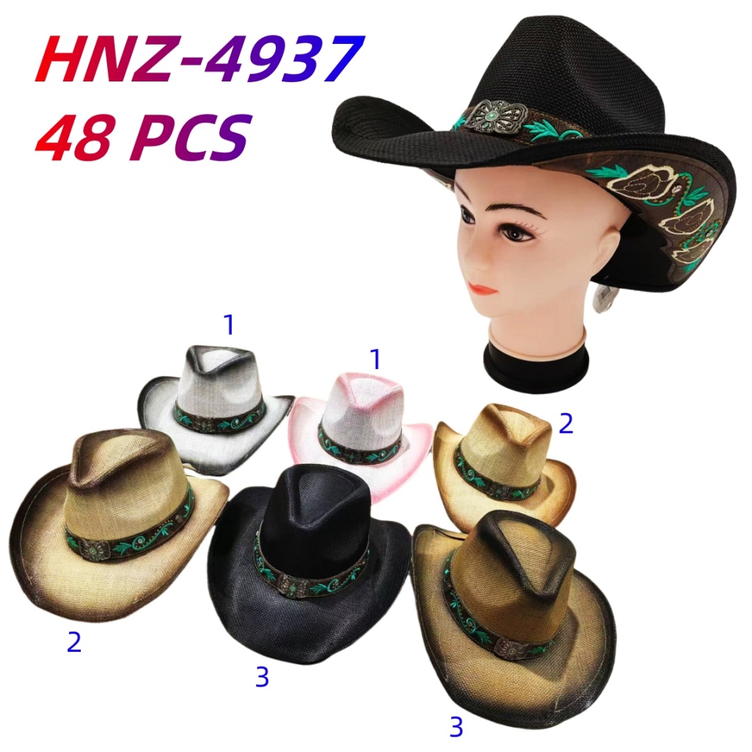 HNZ-4937 CS48