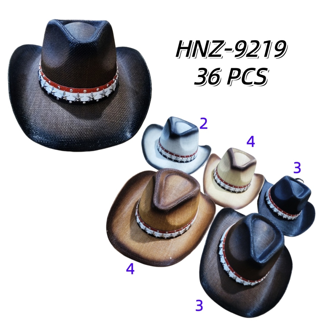HNZ-9219 CS36
