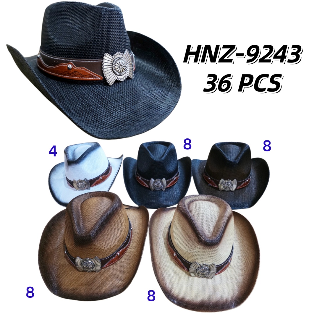 HNZ-9243 CS36