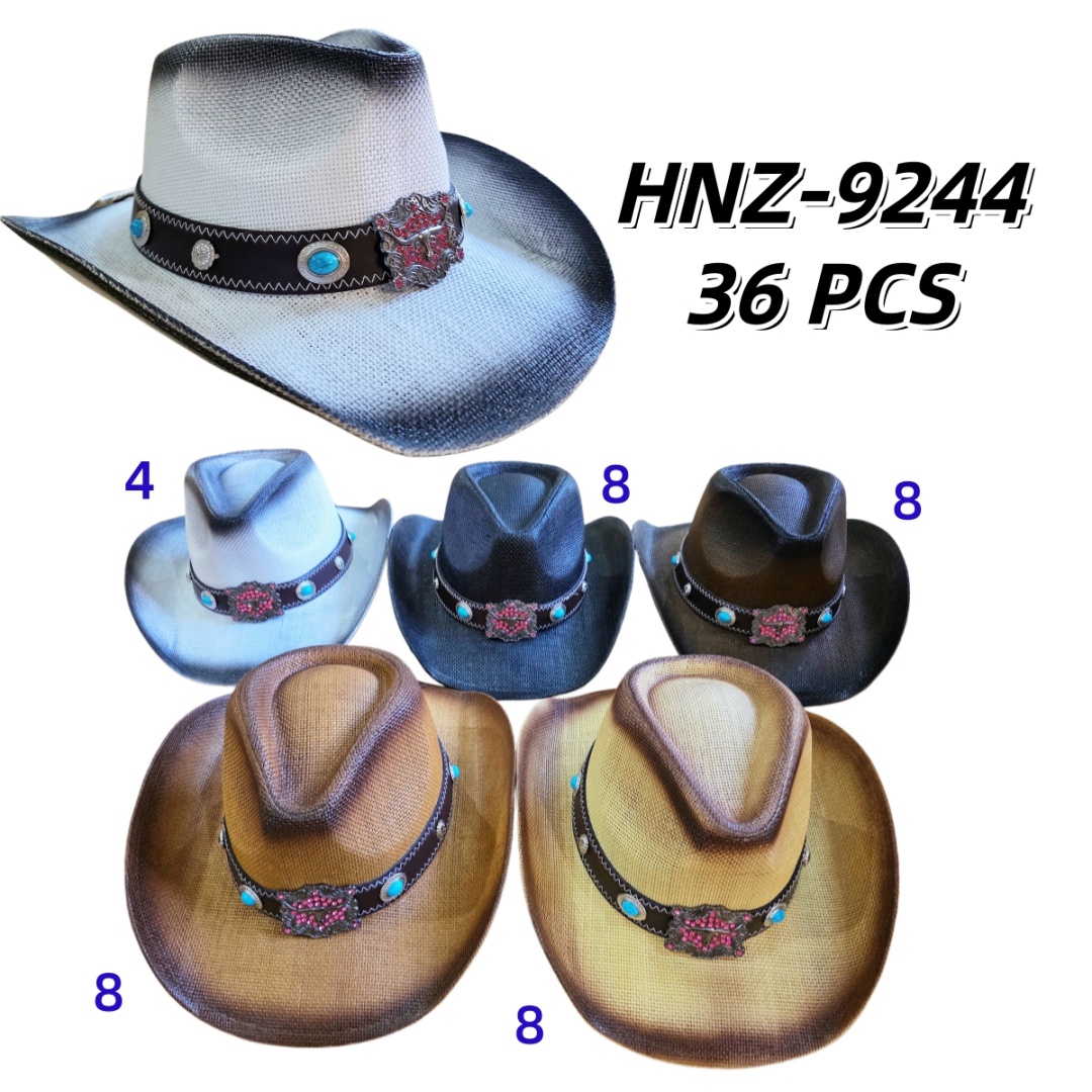 HNZ-9244 CS36