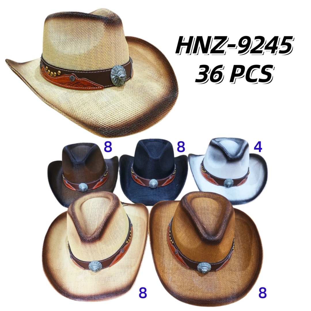 HNZ-9245 CS36