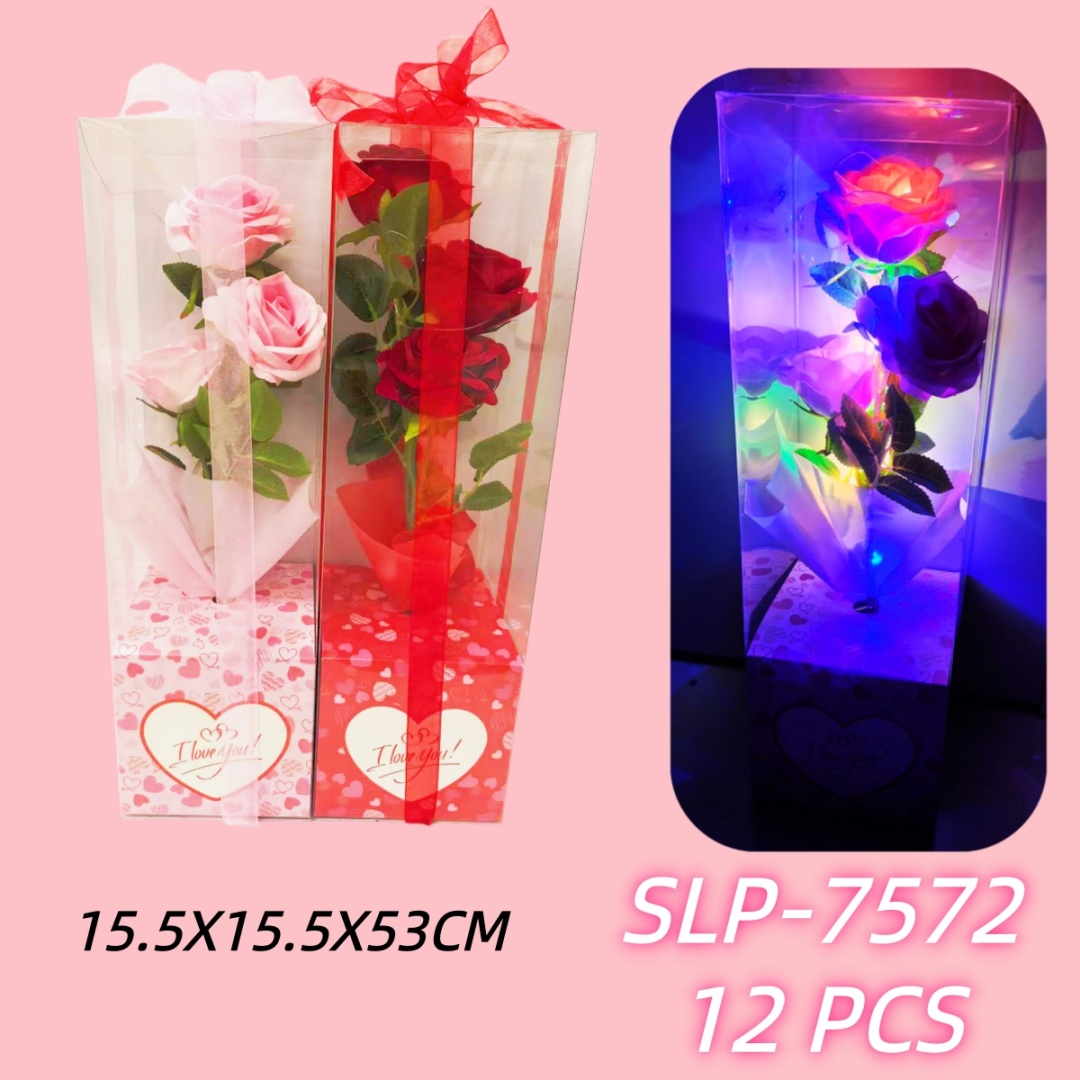 SLP-7572 CS12
