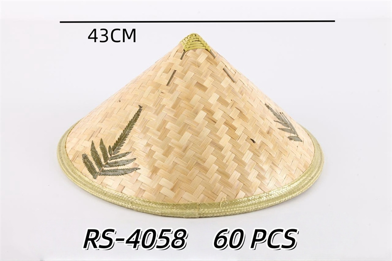 RS-4058 CS60