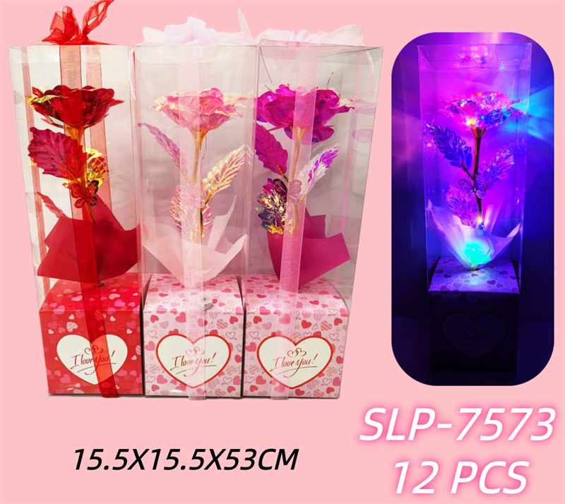 SLP-7573 CS12