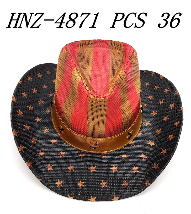 HNZ-4871 CS36