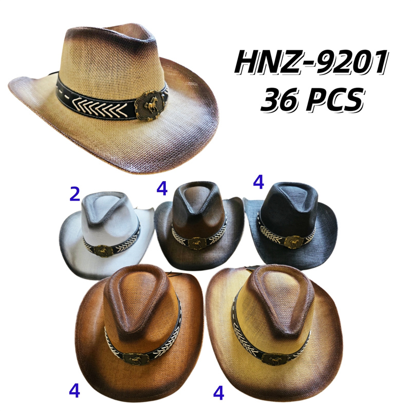 HNZ-9201 CS36